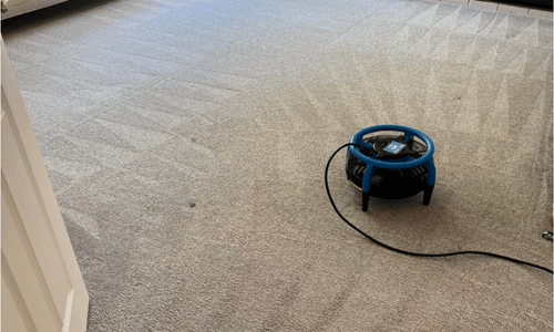 carpet cleaner near me grain