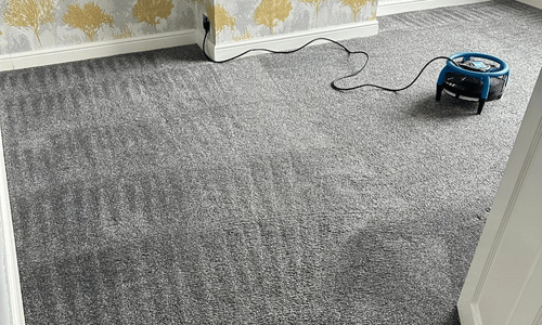 carpet cleaning company leicester
