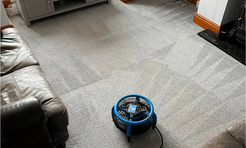 carpet cleaning experts Aylesford
