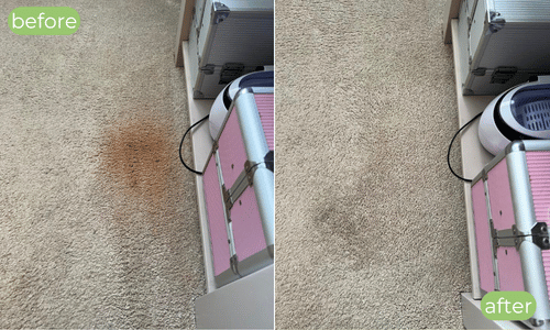 carpet cleaning in Faversham