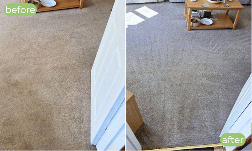 carpet cleaning in sittingbourne