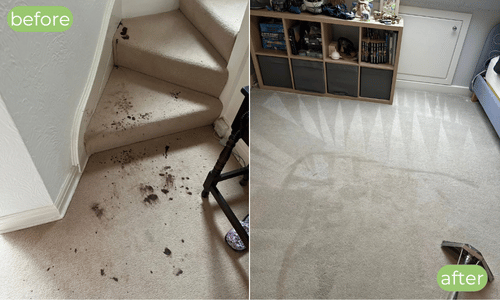 carpet cleaning leeds uk