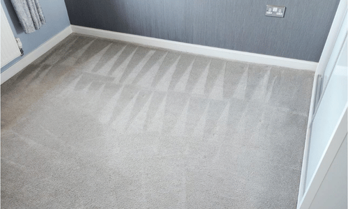 carpet cleaning services leeds