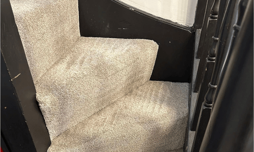 carpet cleaning services leicester