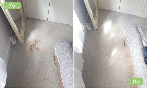 carpet cleaning services near me