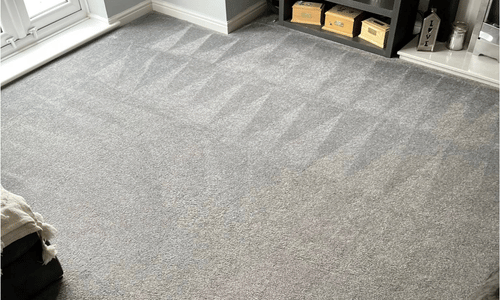 professional carpet cleaning Aylesford