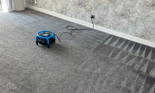 professional carpet cleaning gillingham