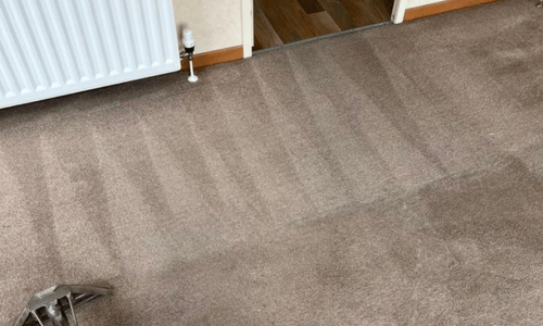 professional carpet cleaning sheerness