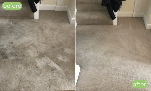 rochester carpet cleaning