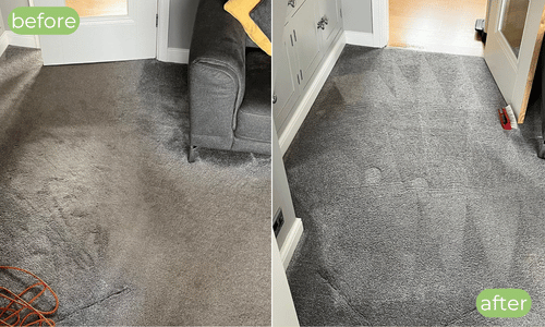 stain removal carpet cleaning Aylesford