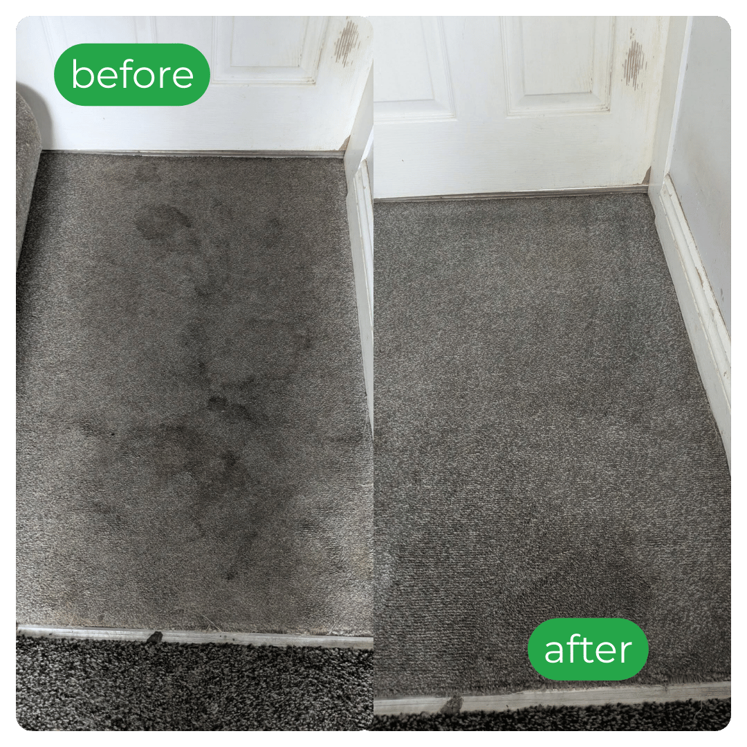 Before-and-after carpet by door; left stained, right clean and fresh.