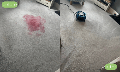 Before and after CT2 Carpet Cleaning Coverage