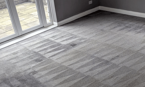 CT2 – Carpet Cleaning Area Overview