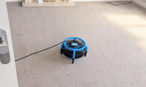 CT5 – Professional Carpet Cleaning