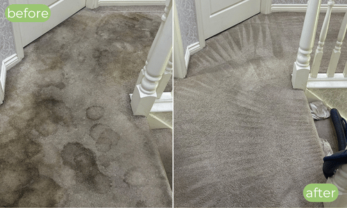 Carpet Cleaner Tonbridge