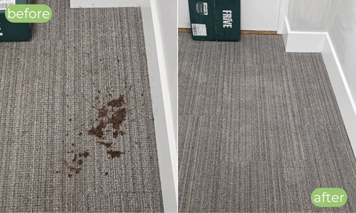 Carpet Cleaning Whitstable – Homes Businesses