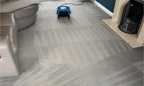 Carpet Cleaning in Appledore