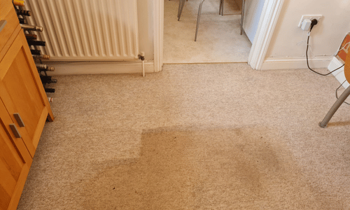 Carpet Cleaning petts wood