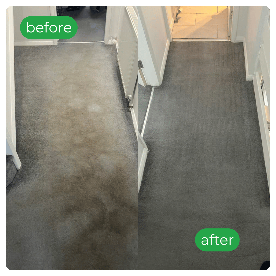 Before-and-after hallway carpet; left stained, right clean and fresh.