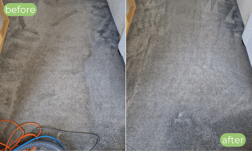 Carpet cleaner Dymchurch