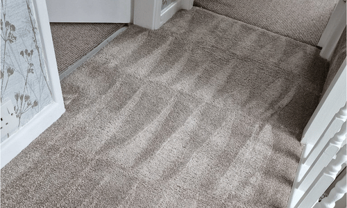 Carpet cleaner hawkinge