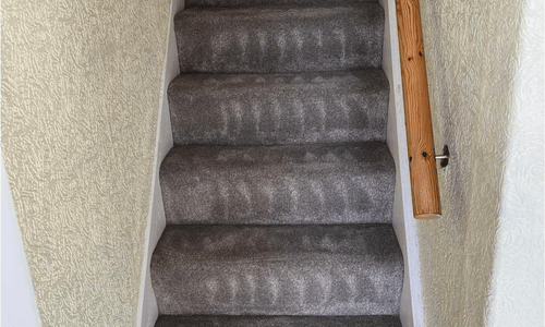 Carpet cleaner new romney