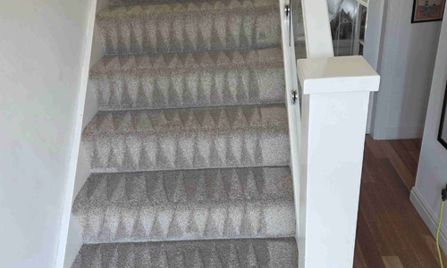Carpet cleaner petts wood 1