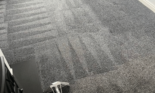 Carpet cleaner romney marsh