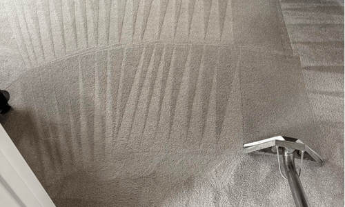 Carpet cleaner tenterden