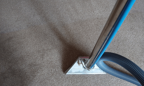 Carpet cleaner vigo