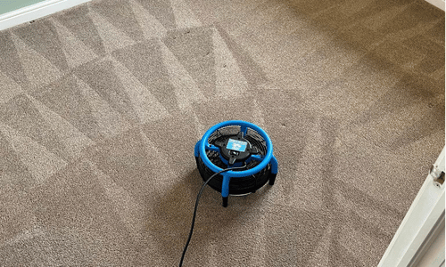 Carpet cleaning Bishopsworth
