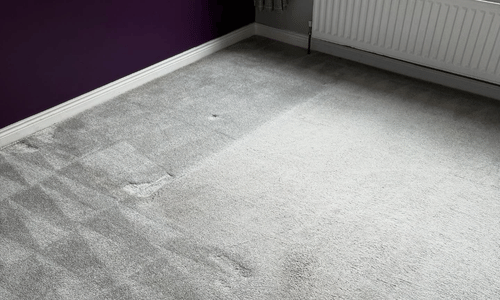 Carpet cleaning Deal