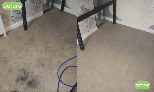 Carpet cleaning New Romney