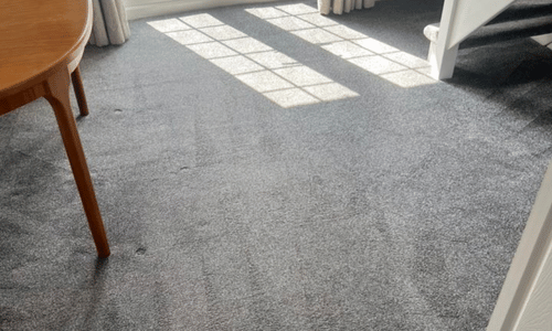Carpet cleaning Romney Marsh
