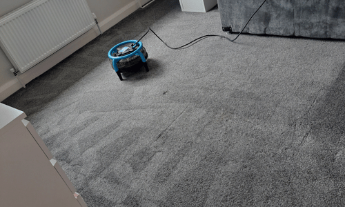 Carpet cleaning Westerham