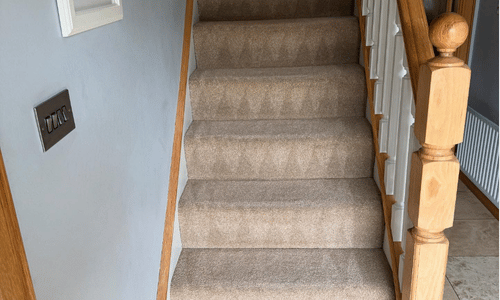 Carpet cleaning in Vigo