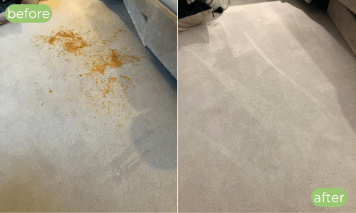 Carpet cleaning stain removal hamstreet