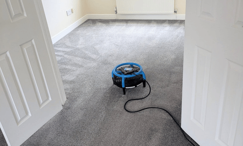 Clean Gray Carpeted Room with Blue Fan Drying Carpet