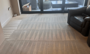 “Beige carpet with geometric patterns, dark armchair, and basket by glass doors to patio.