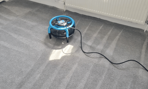 Petts wood carpet cleaning 1