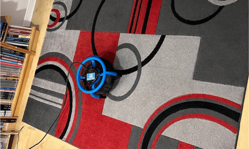 Rug cleaning new romney