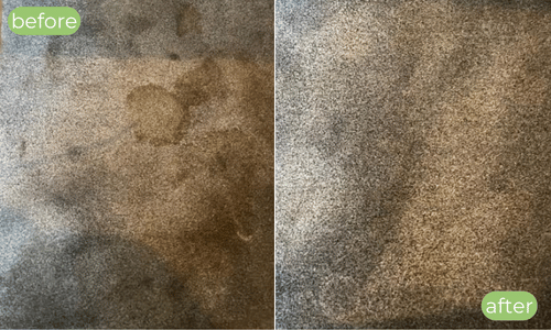 Stain removal carpet cleaning Charing