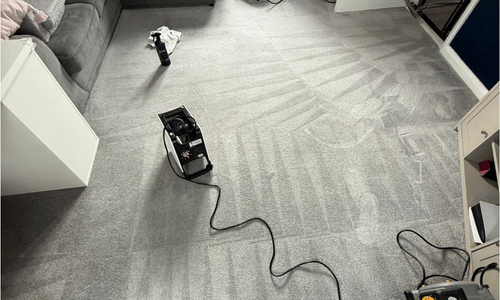 Tenterden Carpet Cleaning