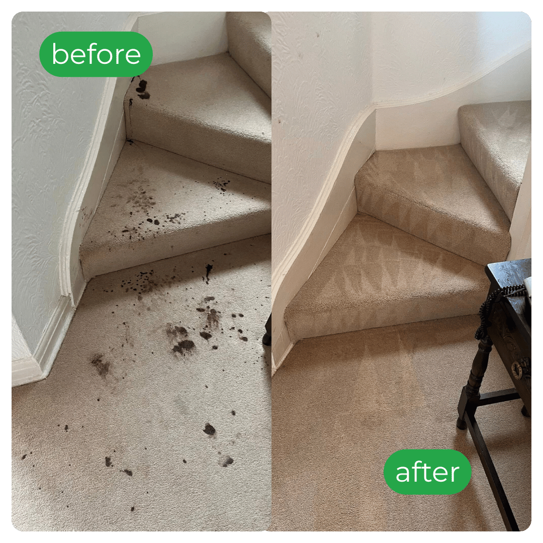 Before-and-after beige carpeted stairs; left stained, right clean.