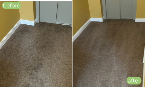 before and after stain removal on carpet in ramsgate