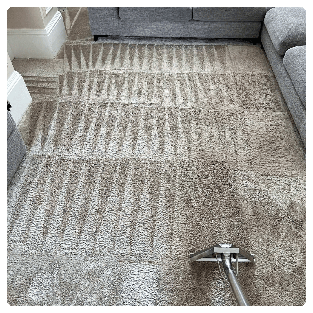 Carpet cleaning in progress on beige carpet with triangular vacuum lines.