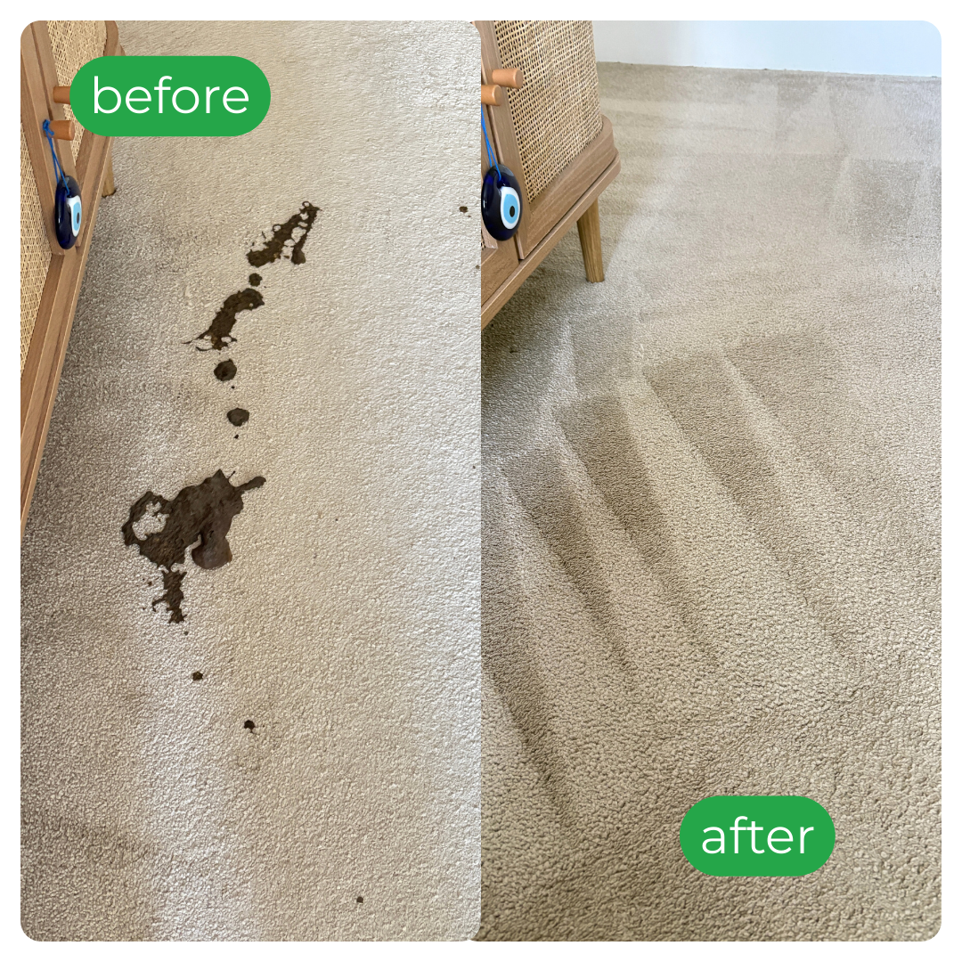 Before-and-after carpet; left brown stains, right clean with patterned finish.