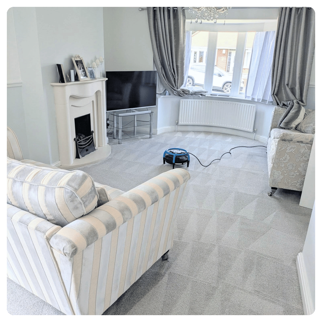 Living room with light grey carpet, striped armchair, floral sofa, TV, fireplace, and carpet fan.