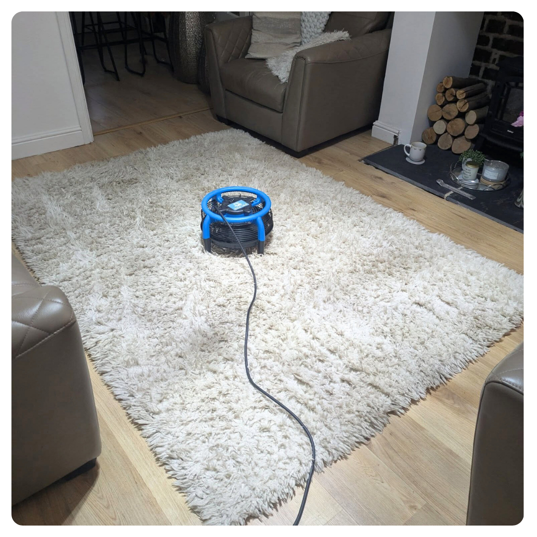 Cream shaggy rug with blue fan dryer, flanked by brown leather sofas in cozy living room.