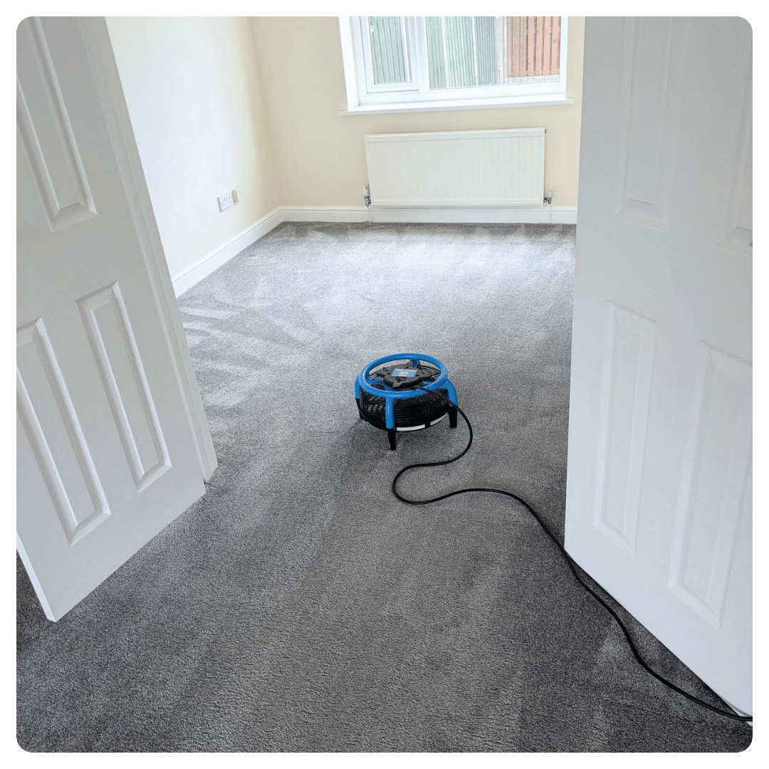 Bright room with clean grey carpet, open white doors, and blue fan dryer.